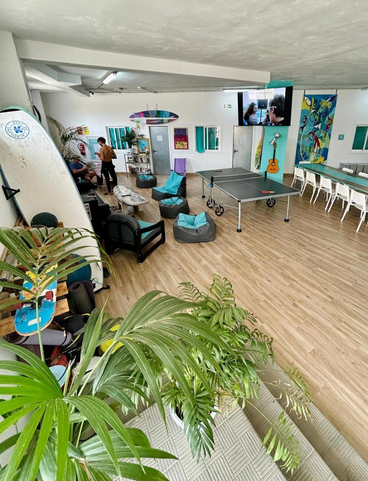 Albergue Medano Nest