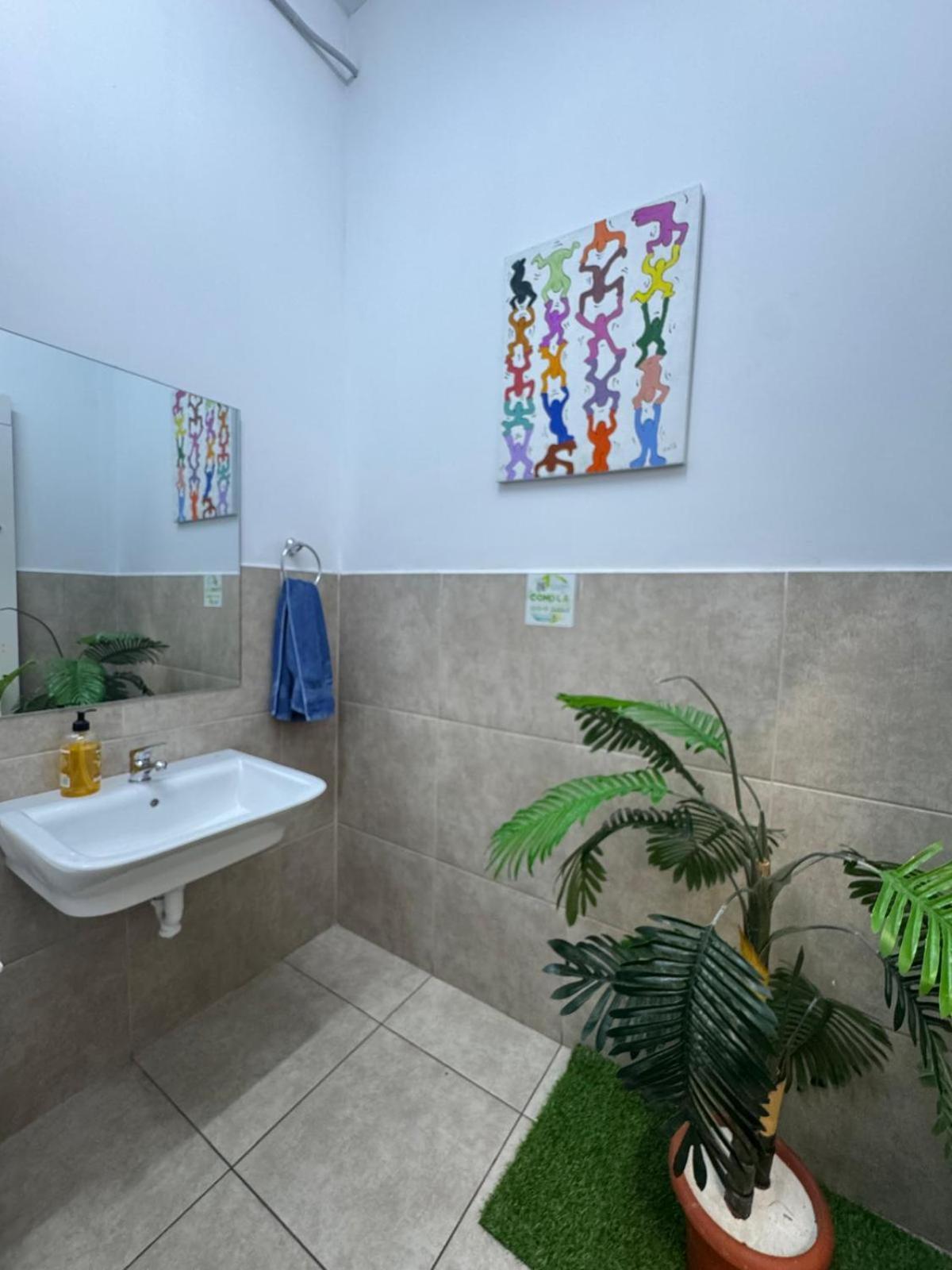 Albergue Medano Nest